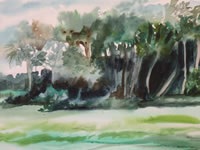 Adams Ranch