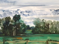 Adams Ranch 3