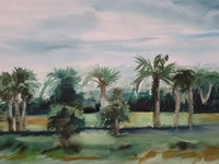 Adams Ranch 5