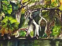Cypress Shoal