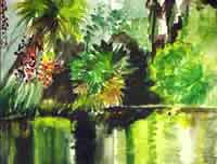 Mangrove Snappers