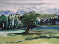 Ranchland