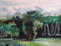 Ranchland 2