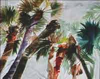 Treetops