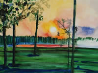 Dawn