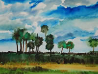 Kissimmee Prairie 2