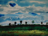 Kissimmee Prairie 3