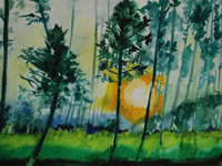 Sunup
