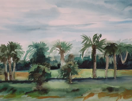 Adams Ranch 5