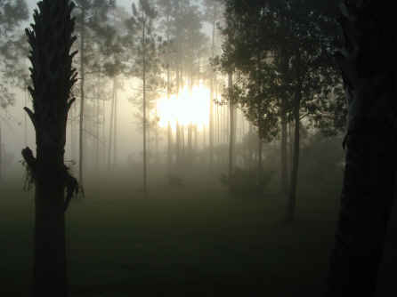 Eerie Light