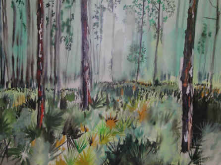 Everglades