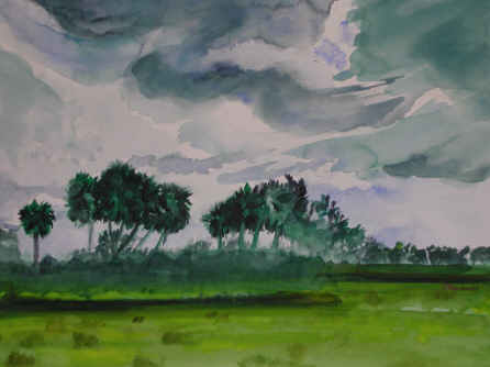 Florida Outback