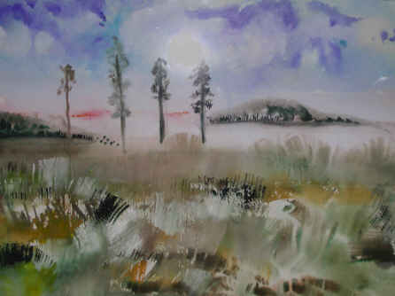 Florida Scrub