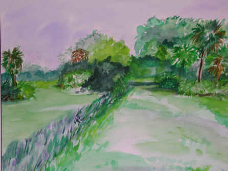 Hyacinth Path
