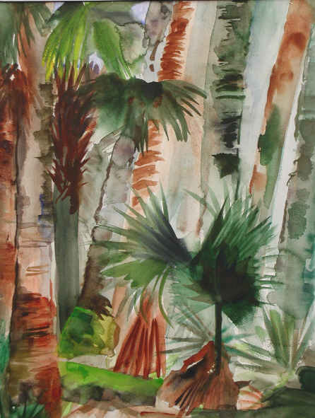In A Palm Hammock