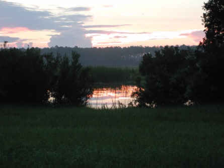Orange Reflection