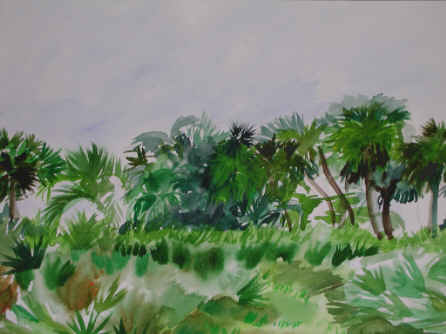 Palm Ridge