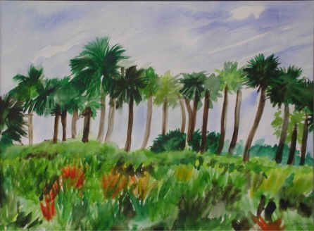 Palmettos And Palms