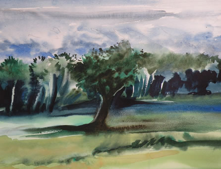Ranchland
