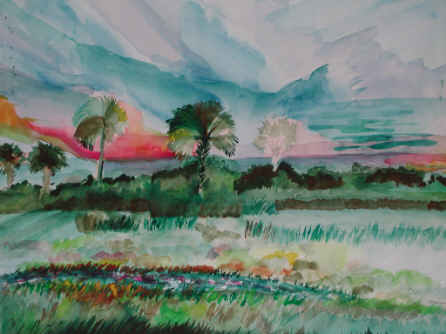 River Of Grass