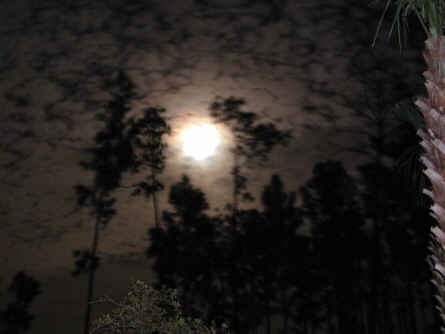Ryder's Moon